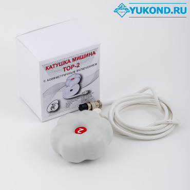 Тороидальная «Катушка Мишина» — ТОР-2 Тороидальная «Катушка Мишина» — ТОР-2